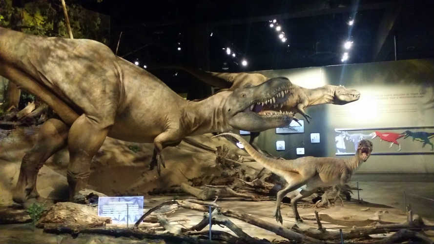 ロイヤルティレル古生物博物館内(2017年5月4日)