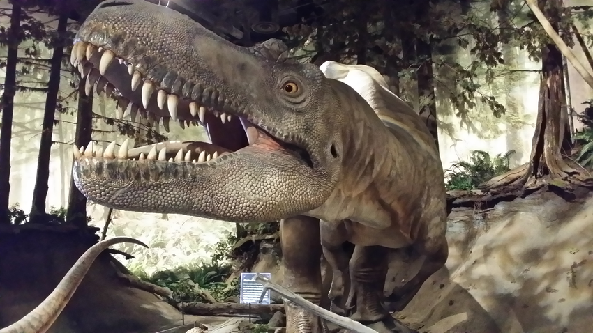 ロイヤルティレル博物館の恐竜1