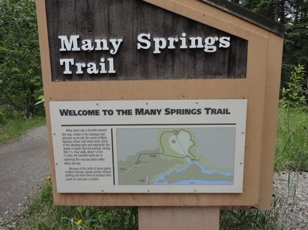 お散歩＠カナディアンロッキー(Many Springs Trail編)